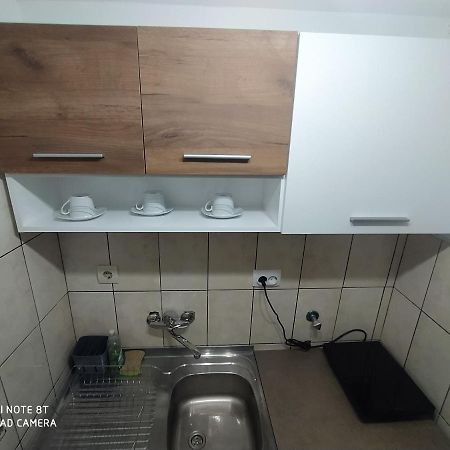 Apartman Studio Pavle I Petra Сремски Карловци Екстериор снимка