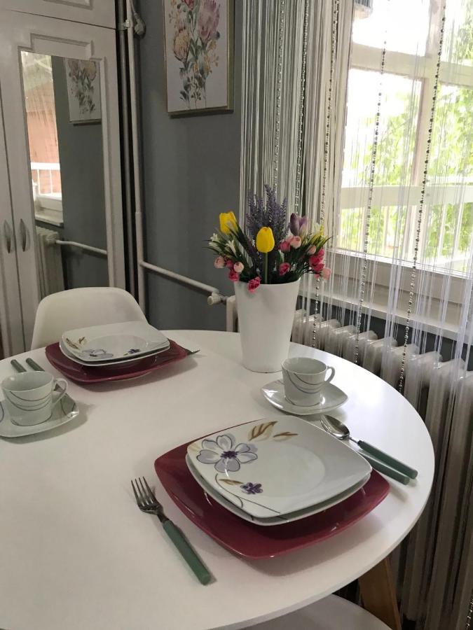 Apartman Studio Pavle I Petra Сремски Карловци Екстериор снимка