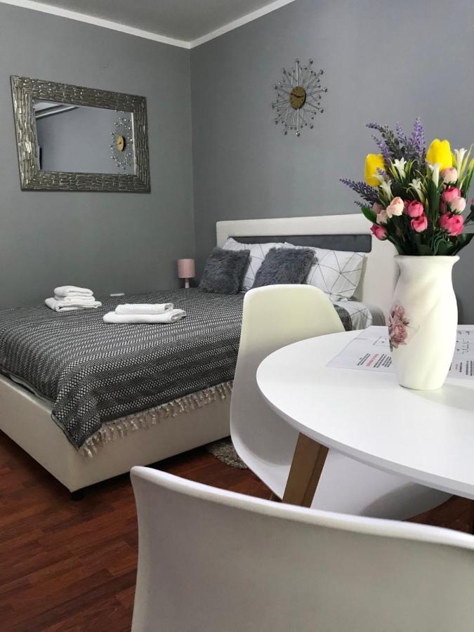 Apartman Studio Pavle I Petra Сремски Карловци Екстериор снимка