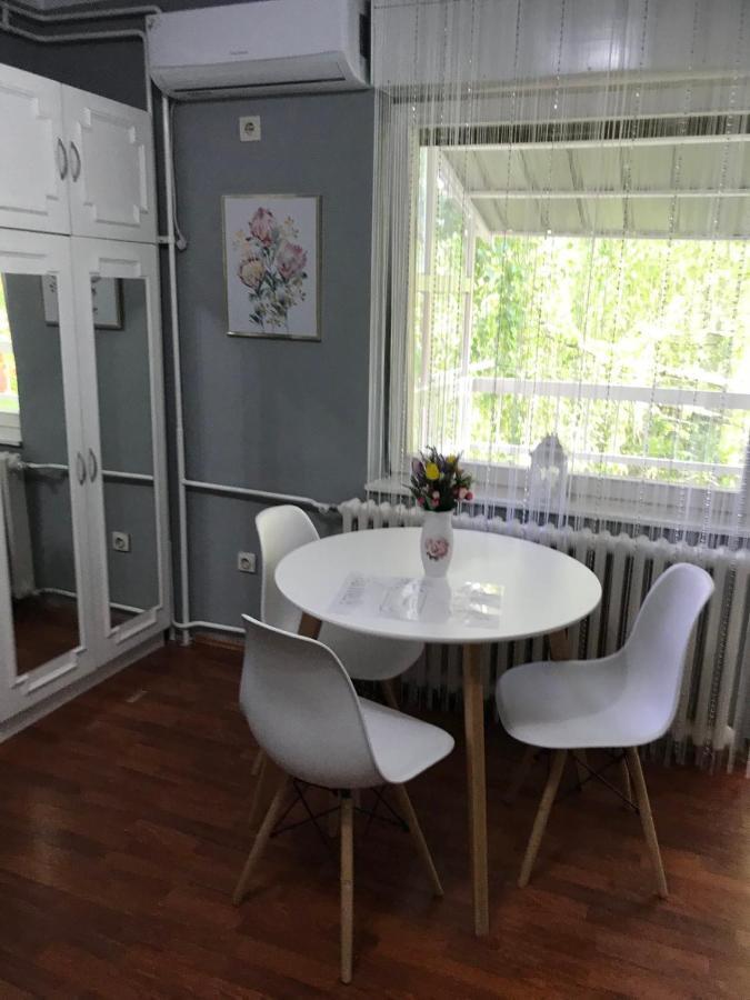Apartman Studio Pavle I Petra Сремски Карловци Екстериор снимка