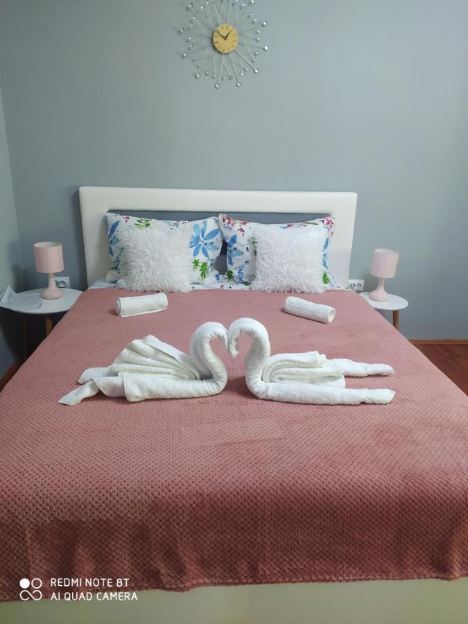 Apartman Studio Pavle I Petra Сремски Карловци Екстериор снимка