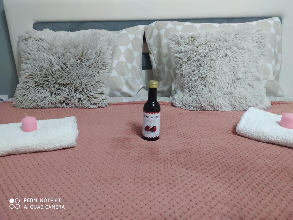 Apartman Studio Pavle I Petra Сремски Карловци Екстериор снимка