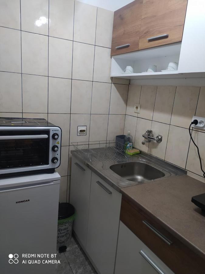 Apartman Studio Pavle I Petra Сремски Карловци Екстериор снимка